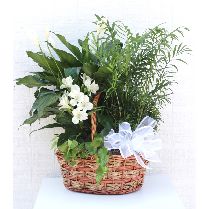 Peace and Serenity Garden Basket - Same Day Delivery