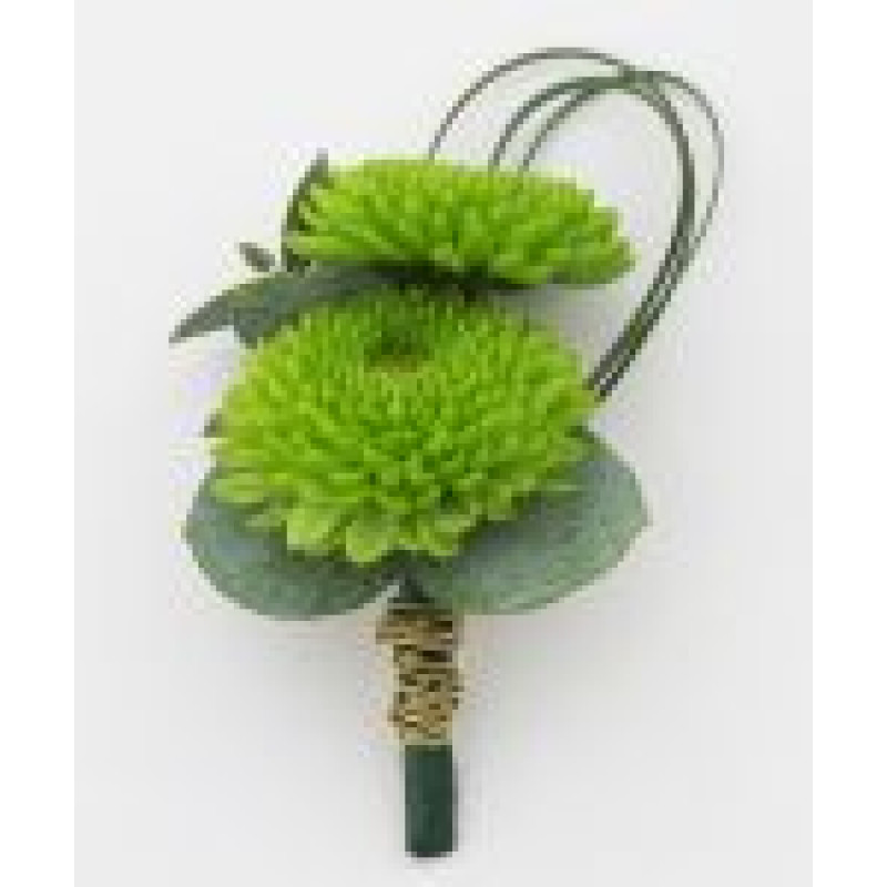 Button Mum Boutonniere - Same Day Delivery