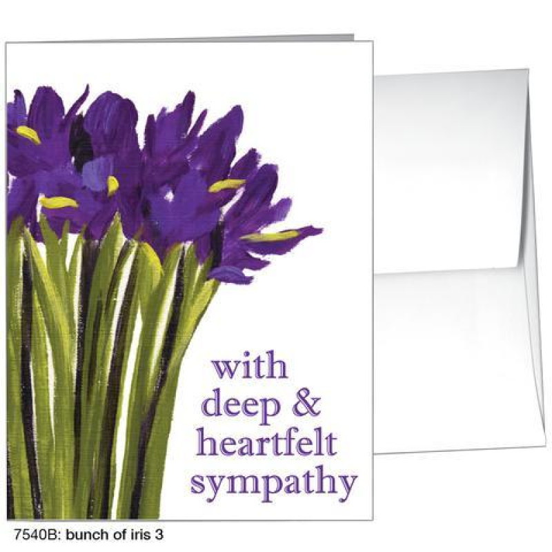 Sympathy Full Size Greeting Card - Same Day Delivery