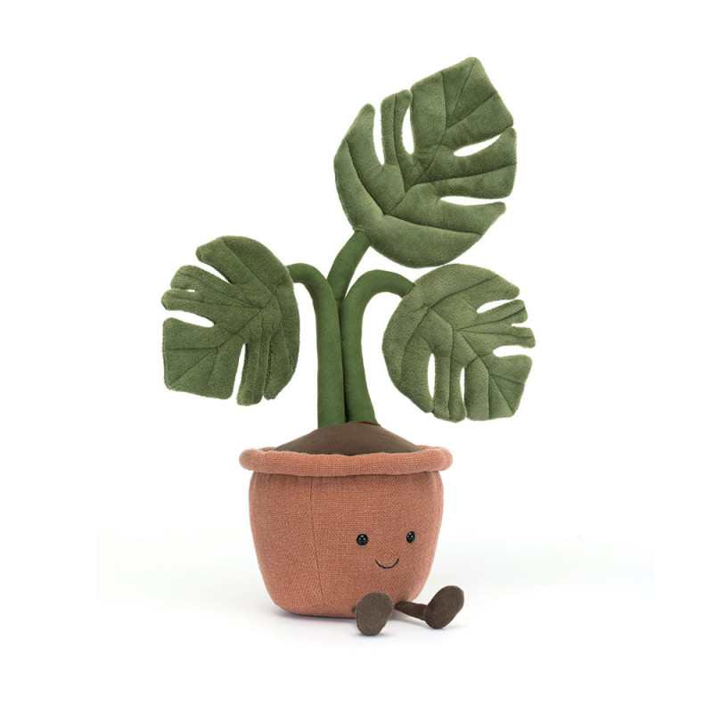 Amuseables Monstera Plant - Same Day Delivery