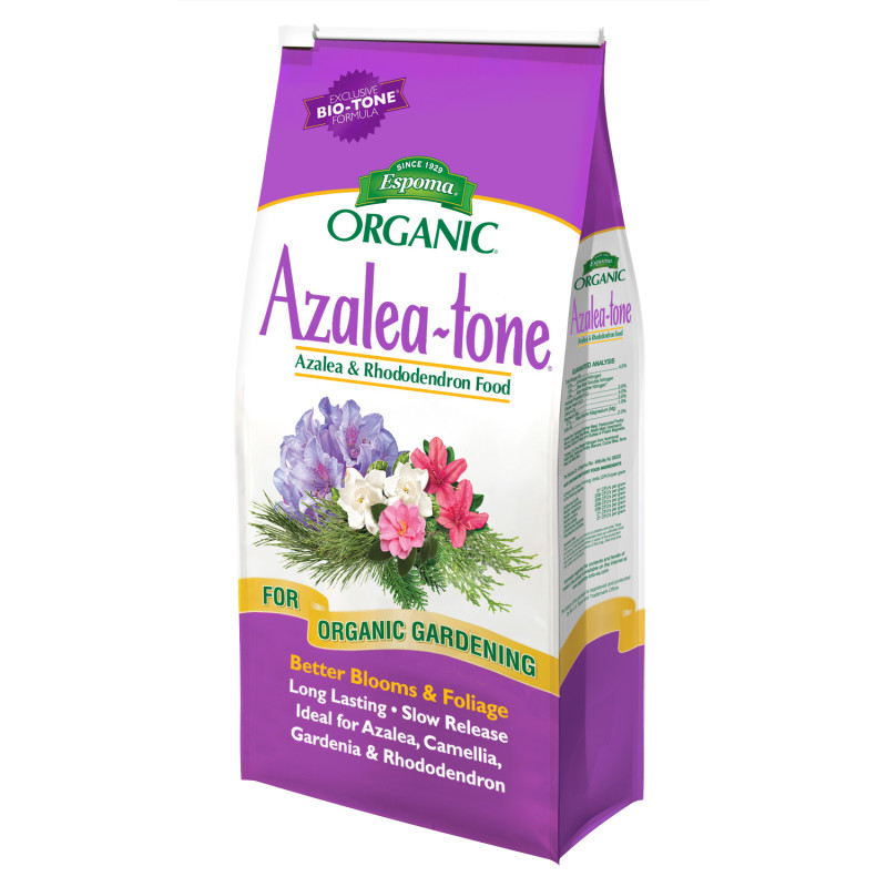 Azalea Tone - Same Day Delivery