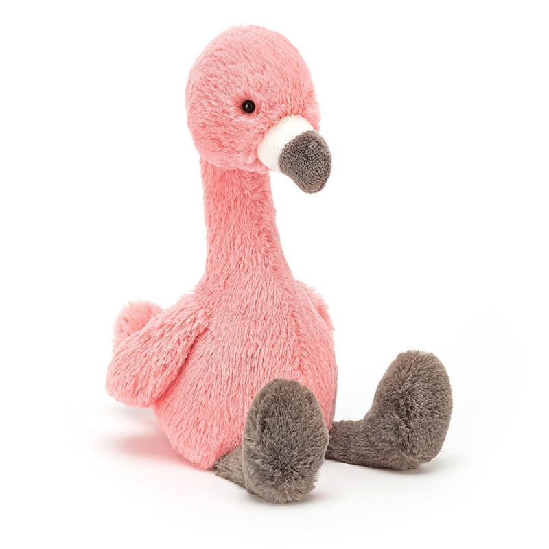 Bashful Flamingo  - Same Day Delivery