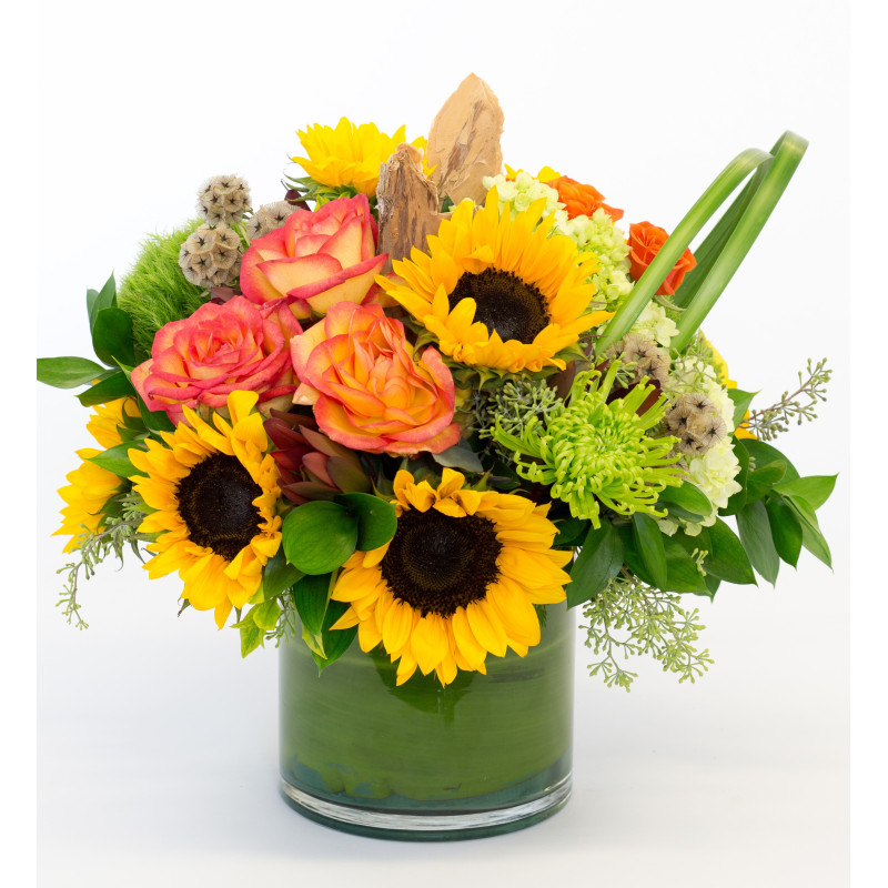 Decatur Sunset - Same Day Delivery