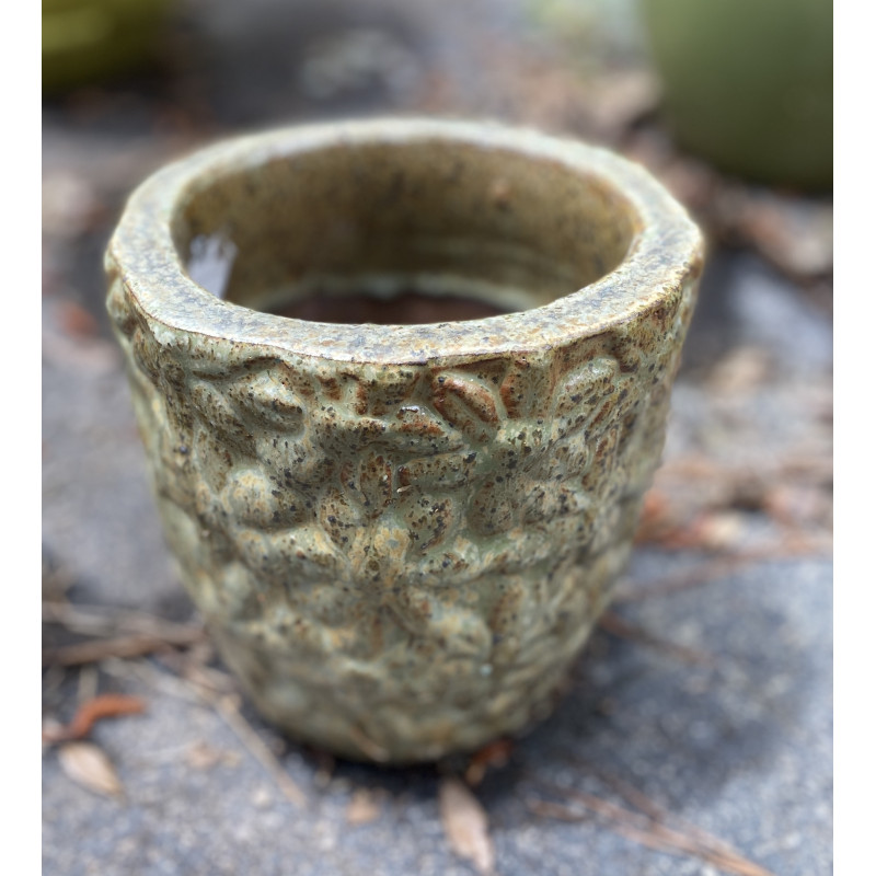 Daisy Pottery Small  - Same Day Delivery