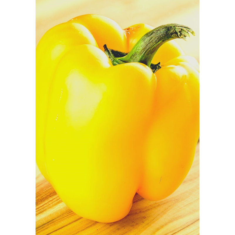 Early Sunsation Pepper Plant - Same Day Delivery