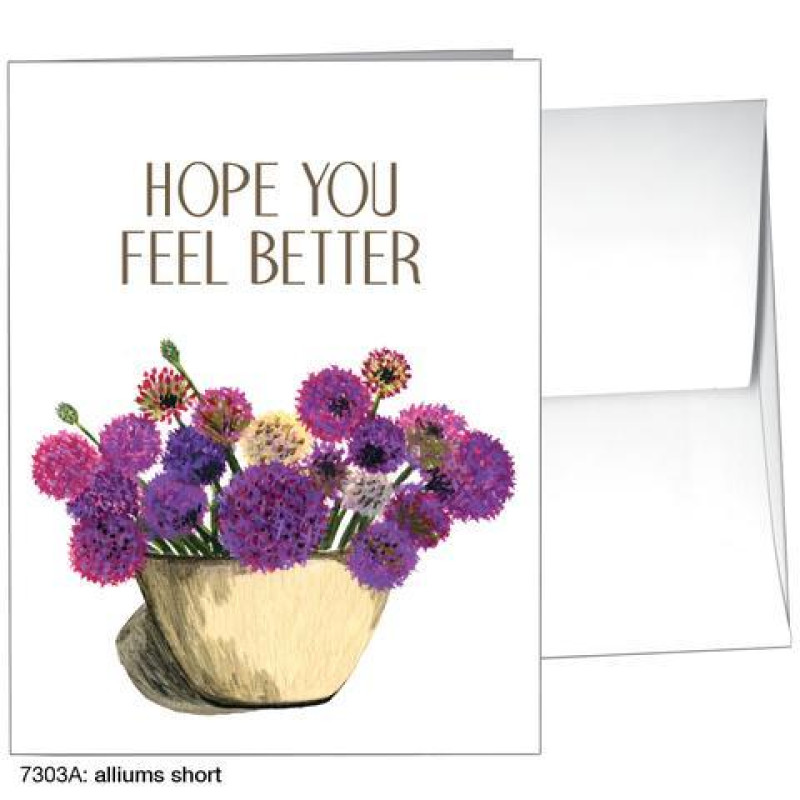 Get Well Full Size Greeting Card - Same Day Delivery