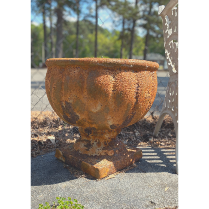 Melon Cup Pottery Rust - Same Day Delivery