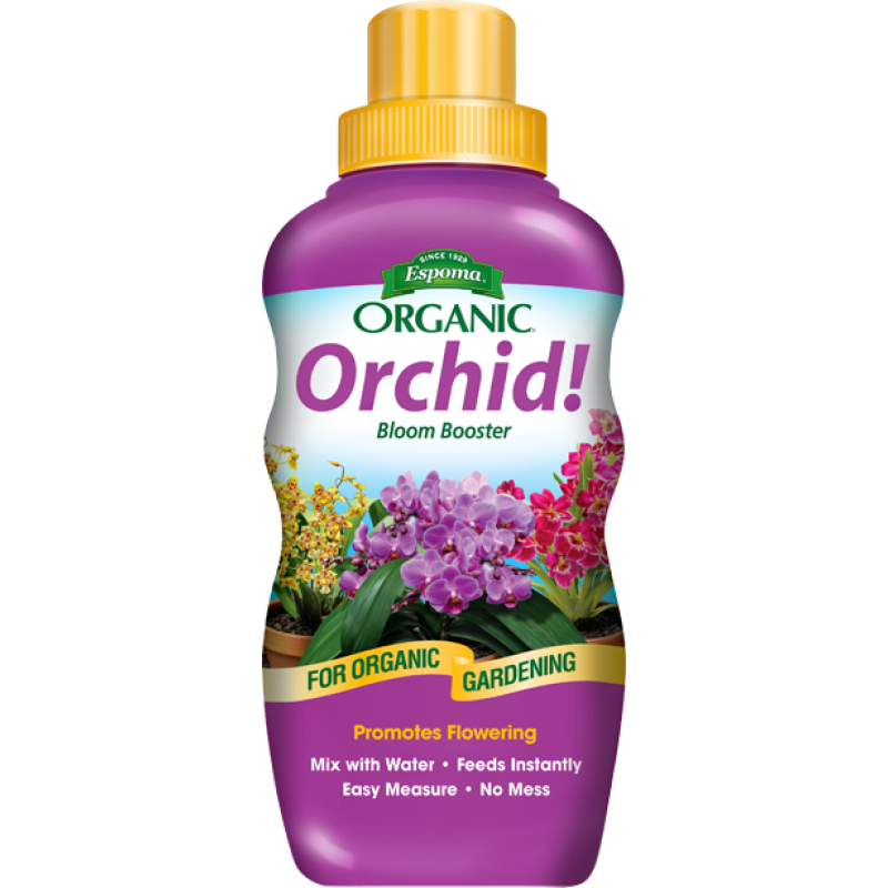 Orchid Bloom Booster  - Same Day Delivery