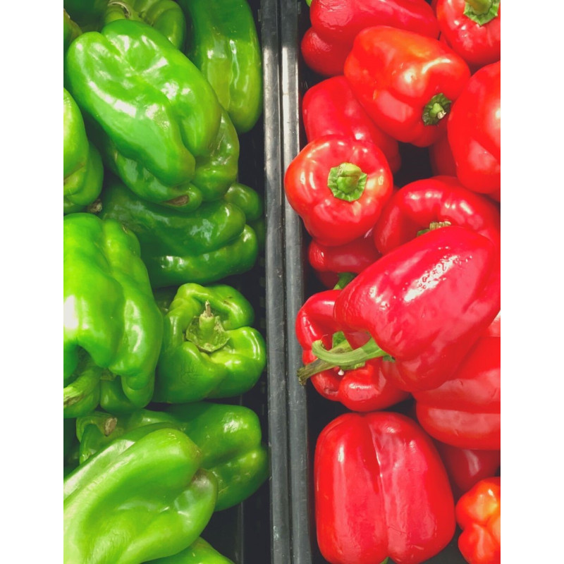 Pimiento Pepper Plant - Same Day Delivery