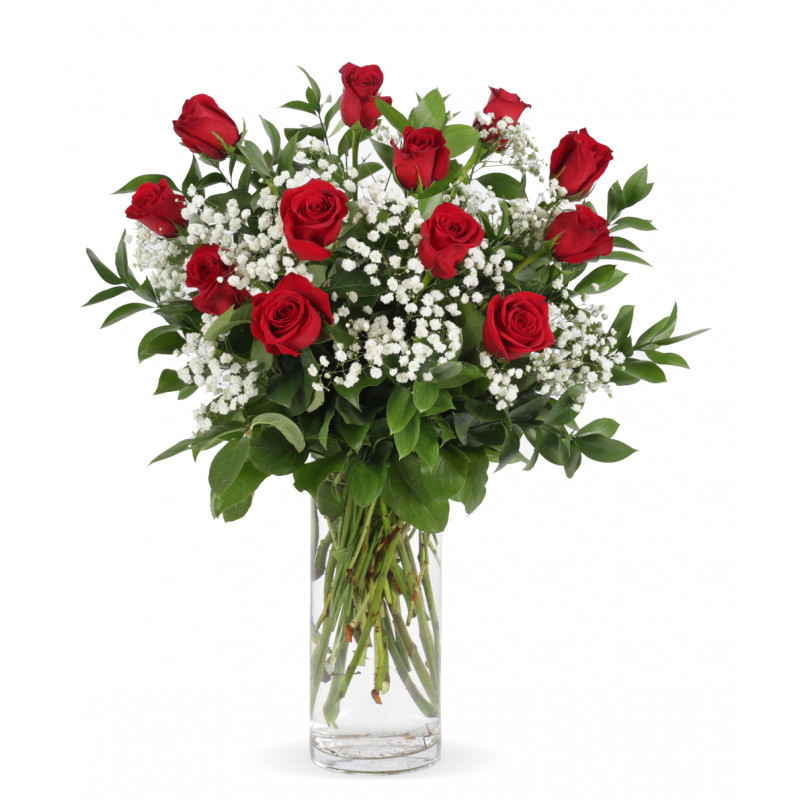 Red Rose Half Dozen - Same Day Delivery