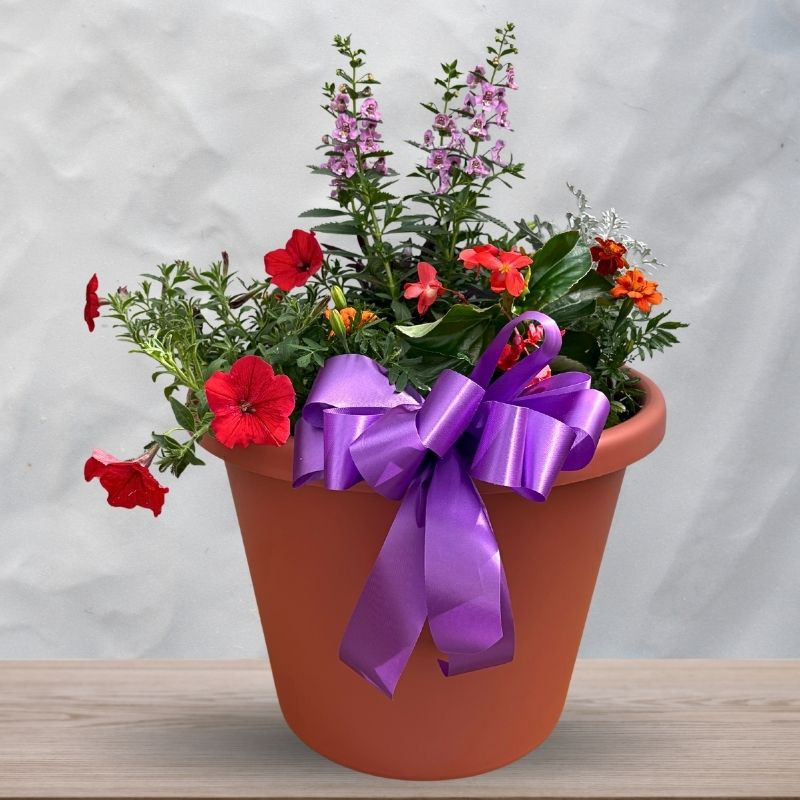 Sunshine Porch Planter - Same Day Delivery