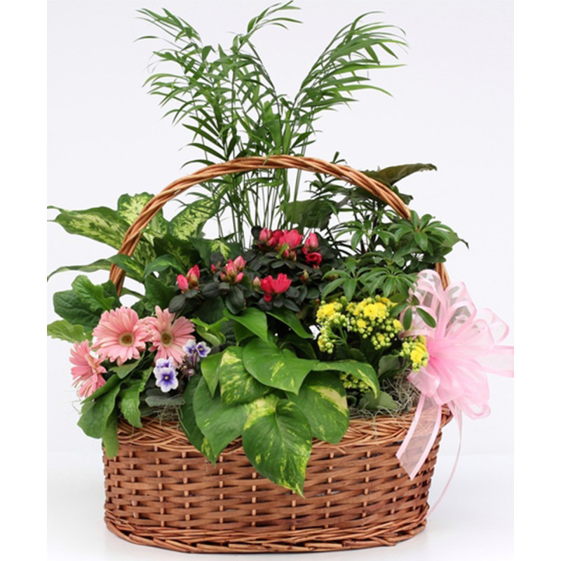 Spring European Garden - Same Day Delivery