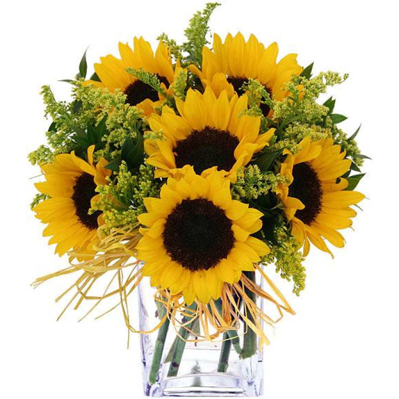 Sunflower Bouquet - Same Day Delivery