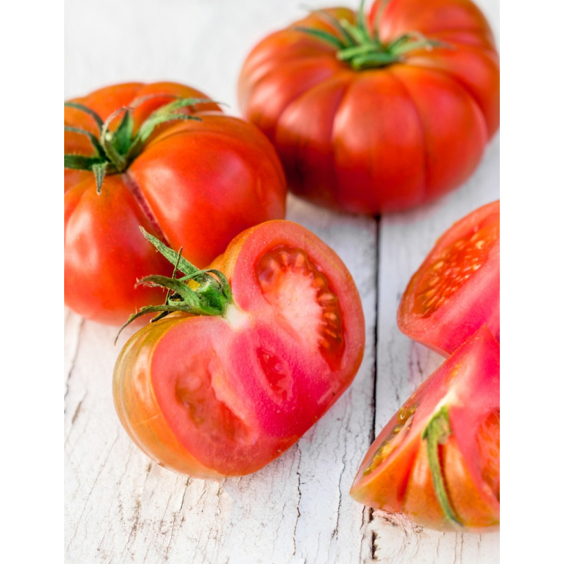Brandywine Tomato Plant - Same Day Delivery