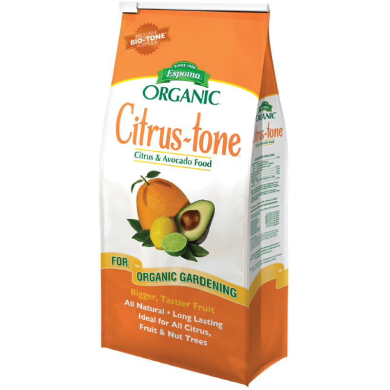 Citrus Tone - Same Day Delivery