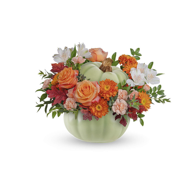 Cozy Pumpkin Bouquet - Same Day Delivery