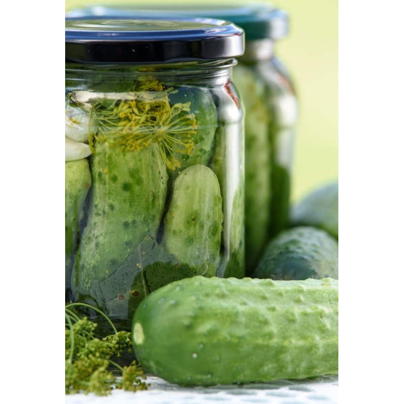Cucumber Pickling Plant - Same Day Delivery
