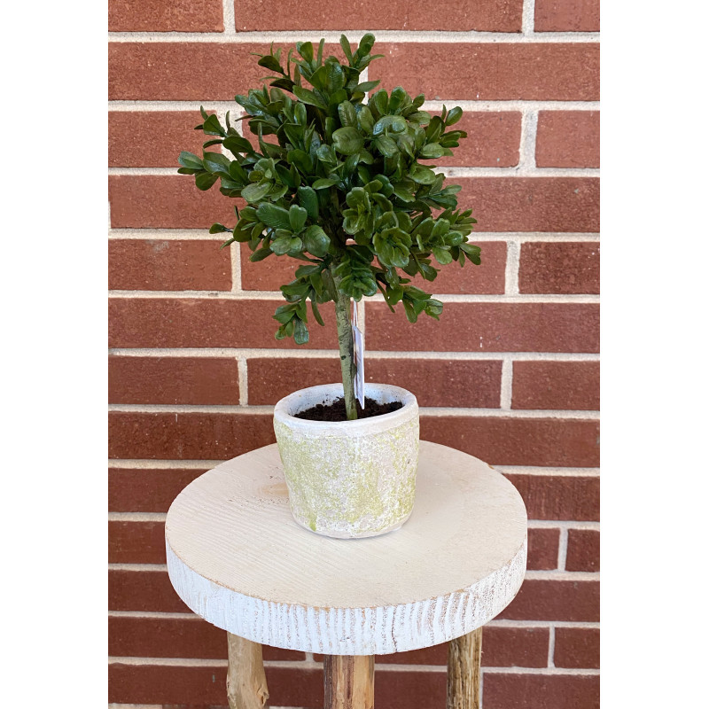 Faux Boxwood Topiary 12 inch - Same Day Delivery
