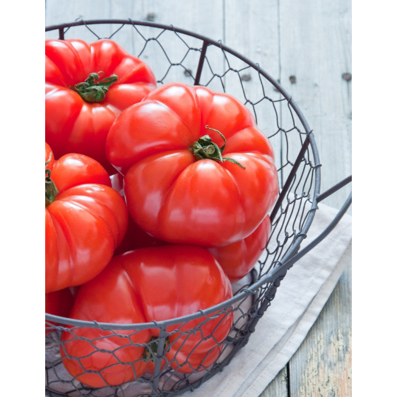 German Johnson Tomato Plants - Same Day Delivery