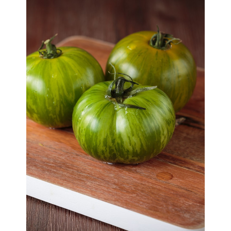 Green Zebra Tomato Plant - Same Day Delivery