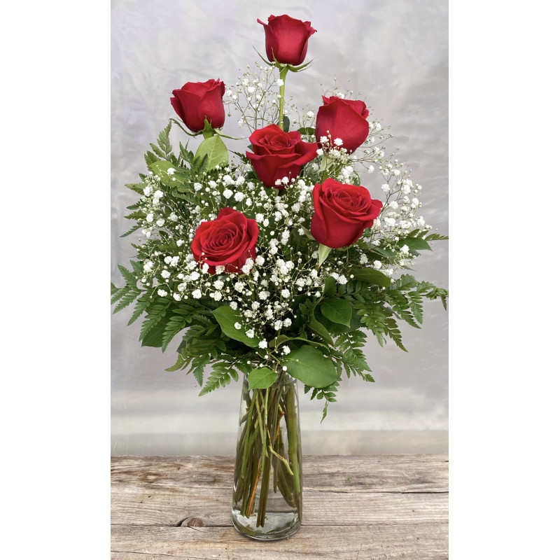 Red Rose Half Dozen - Same Day Delivery