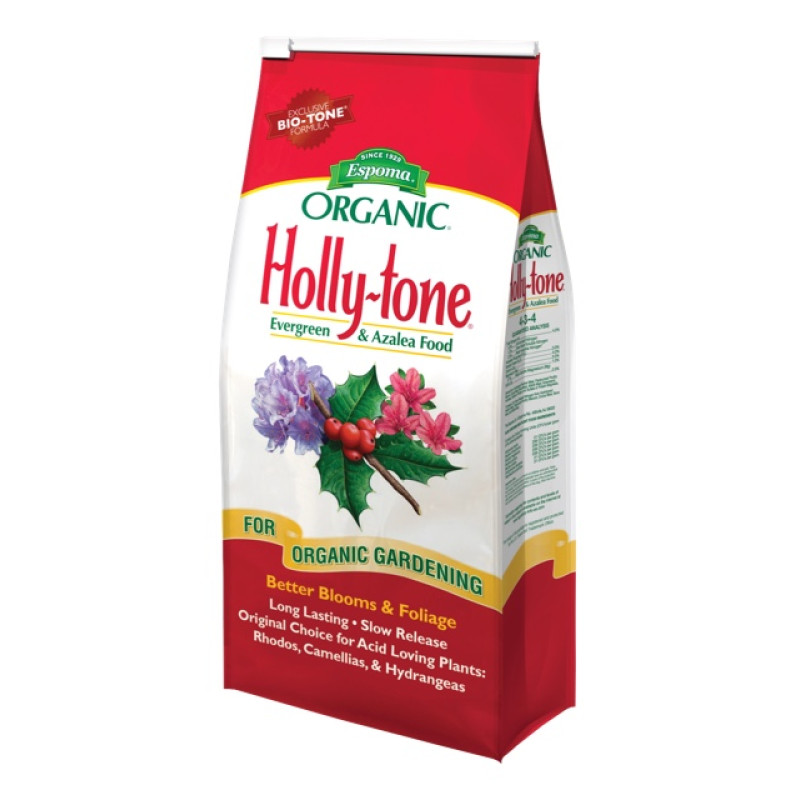 Holly Tone - Same Day Delivery