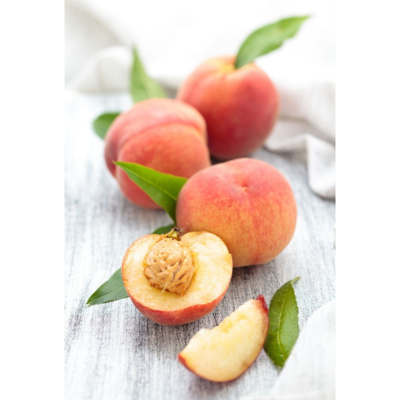 Peach Belle of Gerogia Tree  - Same Day Delivery
