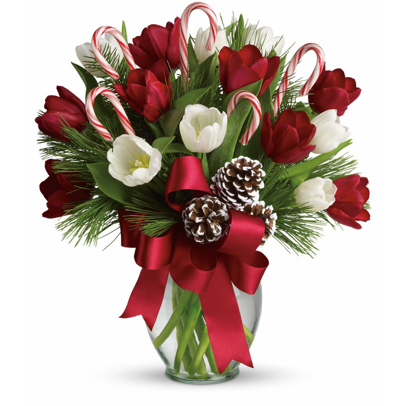 Peppermint Tulips Bouquet - Same Day Delivery