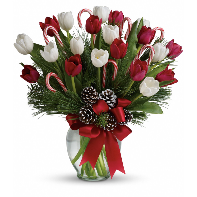 Peppermint Tulips Bouquet - Same Day Delivery