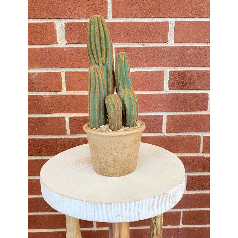 Faux Cactus Planter - Same Day Delivery
