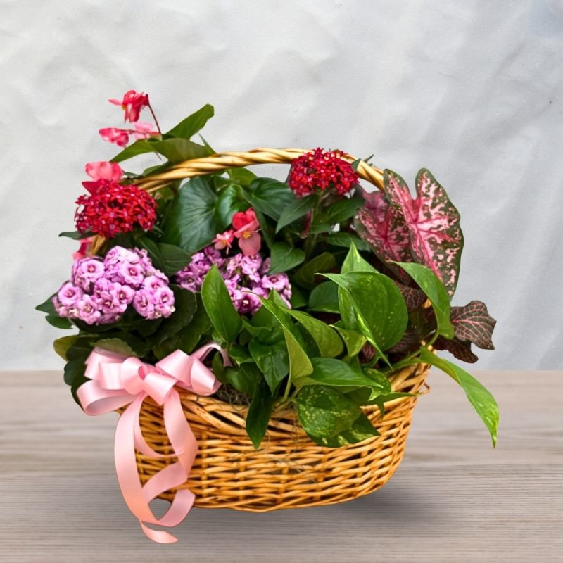 Spring European Garden - Same Day Delivery