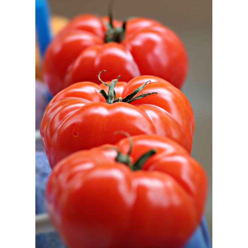 Big Beef Plus Tomato - Same Day Delivery